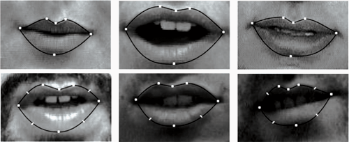Lip tracking example